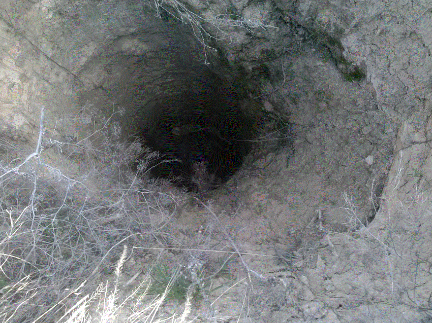 старатель