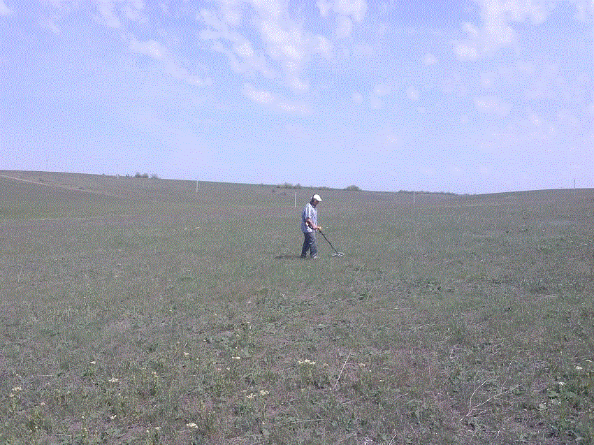 старатель