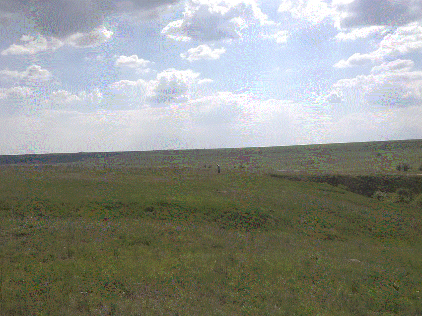старатель
