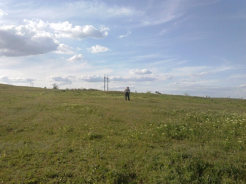 старатель