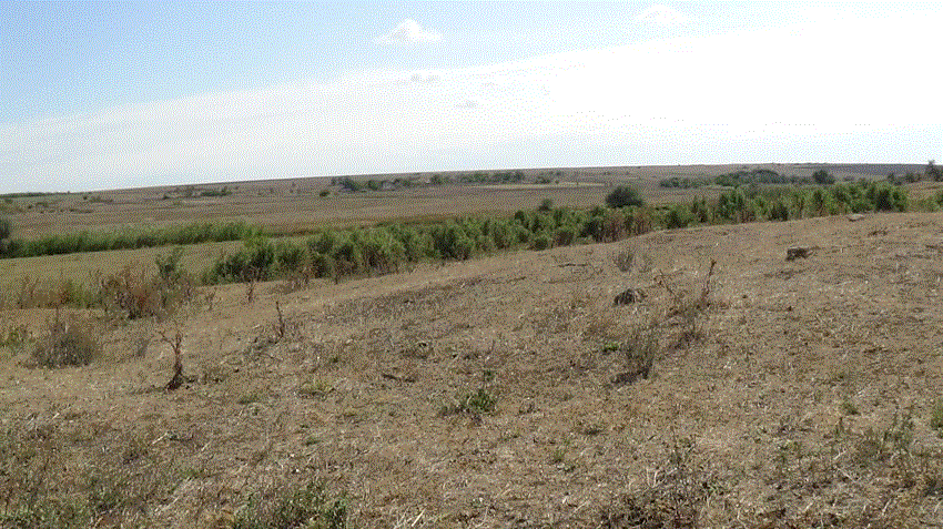 старатель