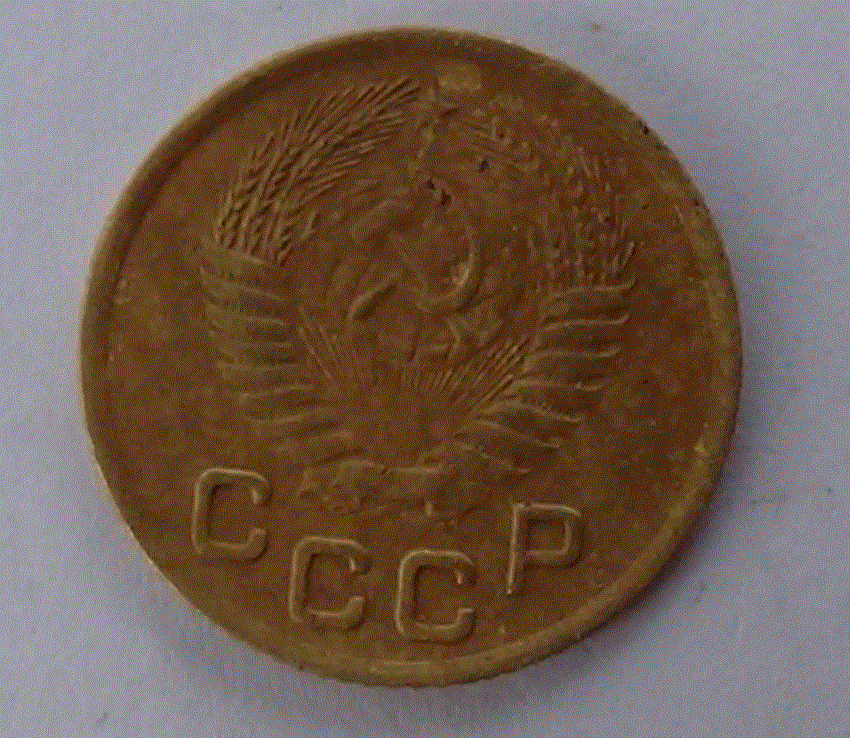 старатель