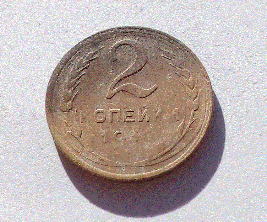 старатель