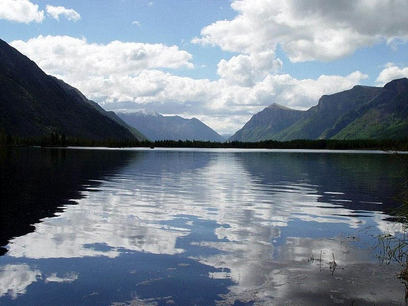 старатель