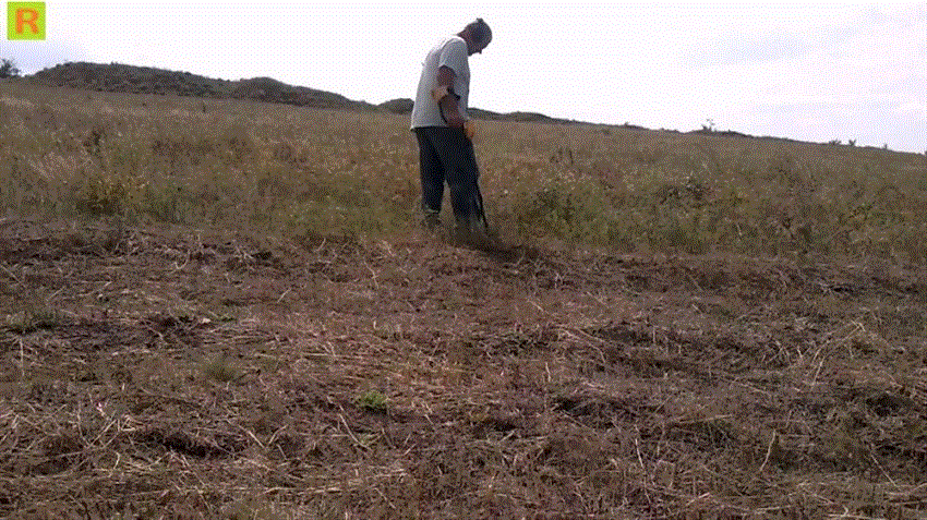 старатель